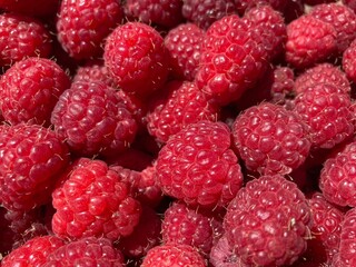 A bunch of red fresh tasty raspberries