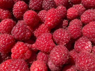 A bunch of red fresh tasty raspberries