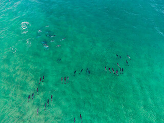 South Coast. South Africa.