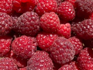 A bunch of red fresh tasty raspberries