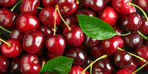 Cherries. Sweet Cherry background. Wet cherry with leaves and drops.
