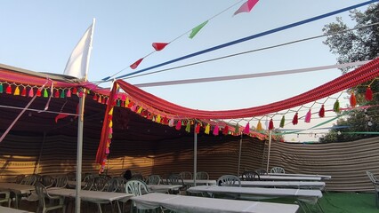 carousel in the park