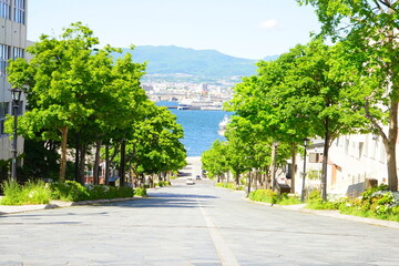 Hachiman-Zaka Slope in Hakodate, Hokkaido, Japan - 日本 北海道 函館 八幡坂	