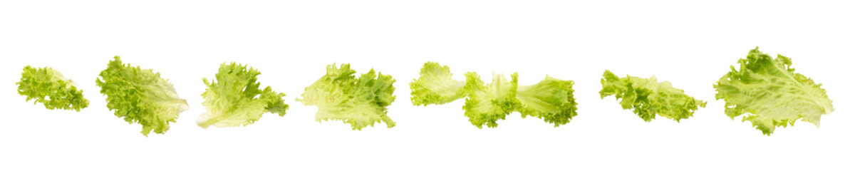 Fresh green lettuce leaves isolated on white background - obrazy, fototapety, plakaty