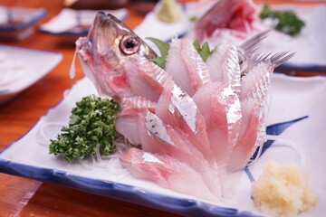 Japanese Food, Herring Sashimi - 日本料理 にしん 刺身 - obrazy, fototapety, plakaty