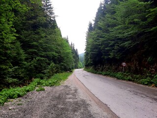 Regional road to mountain Jahorina from Pale, Bosnia and Herzegovina