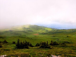 Mountain Jahorina landscape with fog and meadows, Bosnia and Herzegovina