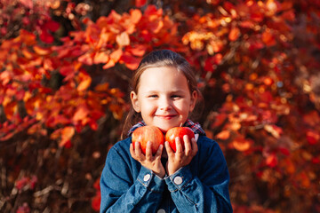 Autumn park concept. Cute little girl in jeans coat hold big red apple with autumn background.