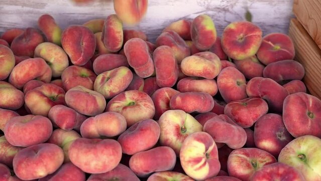 Many Paraguayan peaches falling from above in the harvest.