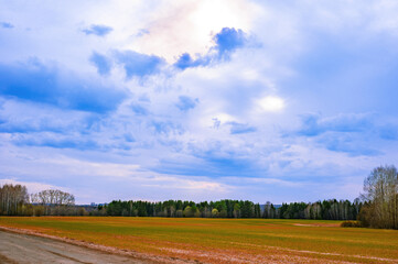 road in the field