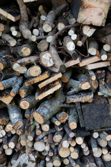 The beautiful Danish garden