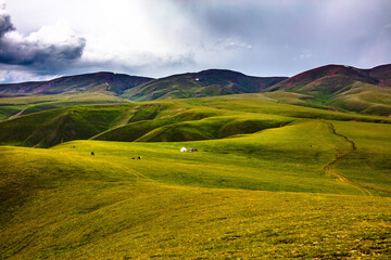 landscape with grass and blue sky