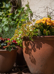 The beautiful Danish garden