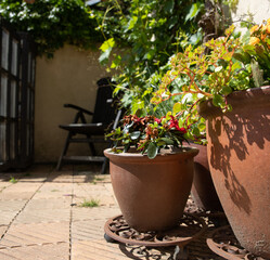 The beautiful Danish garden