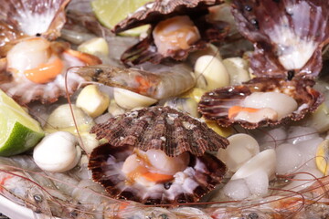 Fresh and Roasted Scallops Seafood