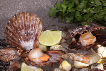 Fresh and Roasted Scallops Seafood