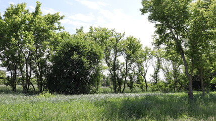 Obraz premium Hiking at a nature preserve in Pleasant Prairie, WI