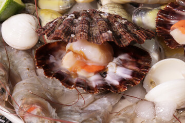 Fresh and Roasted Scallops Seafood