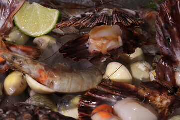 Fresh and Roasted Scallops Seafood
