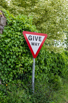 Give way road sign near to leaves and plants