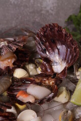 Fresh and Roasted Scallops Seafood