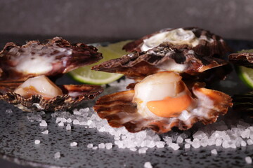 Fresh and Roasted Scallops Seafood