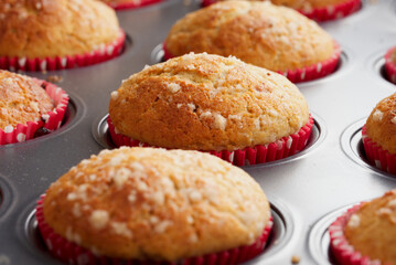 close-up of delicious and fluffy muffins for snack or breakfast