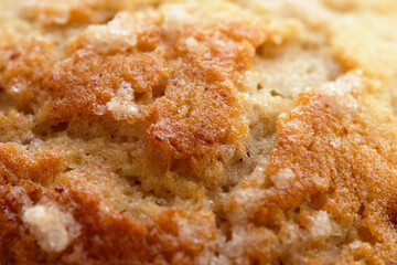 close-up macro shot of a fluffy and delicious muffin. backgroud texture.