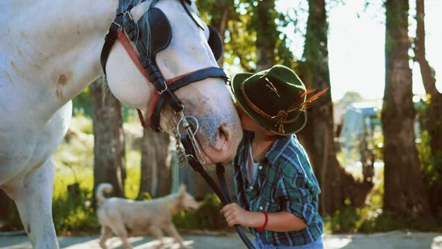 Authentic close up shot of a little boy with a hat is caressing and kissing a white  horse