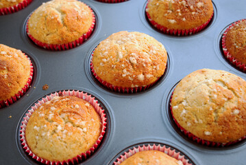 tray of delicious, fluffy muffins right out of the oven