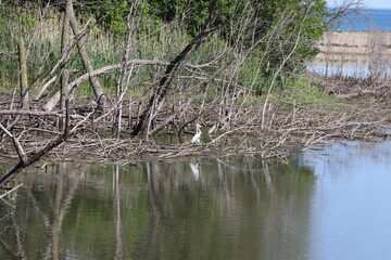 Lake Michigan in Wisconsin