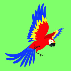 Parrot spread its wings in flight