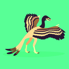 archeopteryx primitive ancient extinct bird