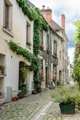 Fototapeta na wymiar Senlis, medieval city in France, typical cobblestone street with ancient houses 