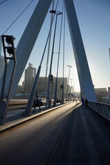 bridge over the river during sunrise in beautiful Rotterdam on Erasmus bridge