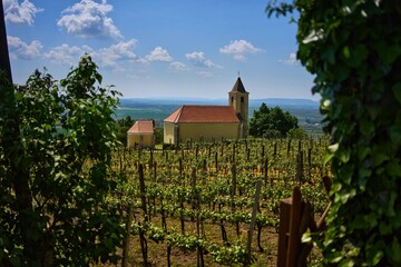 Fototapeta na wymiar Rural landscape of a wine region with church in spring or early summer. Somlo, Hungary, St. Margit Chapel
