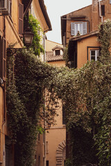 street in the town of  Rome, Italy