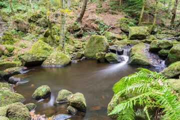 Obraz premium Padley Gorge, Peak District National Park in autumn