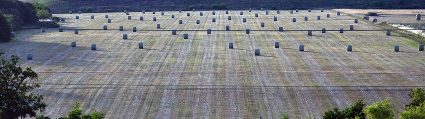 Obraz premium Das gerollte Feld