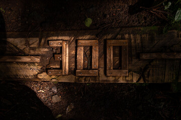 Fototapeta na wymiar Wood number one hundred Letters, No.100 in wood in the forest ground lit by soft sunlight. Forest concept background.