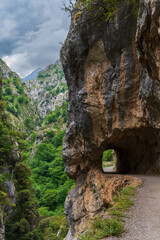 Fototapeta premium Senda del rio Cares, a path that runs through a gorge in the Picos de Europa, in the Catabrica mountain range, Spain.