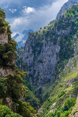 Senda del rio Cares, a path that runs through a gorge in the Picos de Europa, in the Catabrica mountain range, Spain.