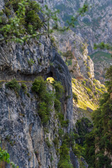Senda del rio Cares, a path that runs through a gorge in the Picos de Europa, in the Catabrica mountain range, Spain.