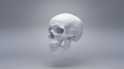 Human skull on white background, render 3d, white material