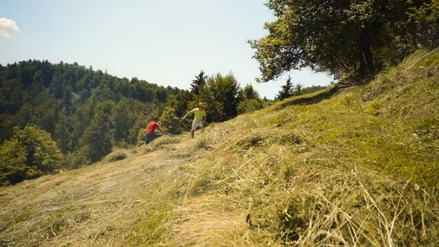 two farmers raking hay on hill with old rake on sunny day in summer. Raking grass
