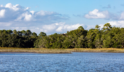 landscape with lake