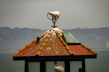 Alcatraz 
Pier
Old
Viejo
Rust
Oxido
Time
Tiempo
Corrosion 