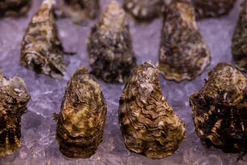 close up of cones seafood fish oysters