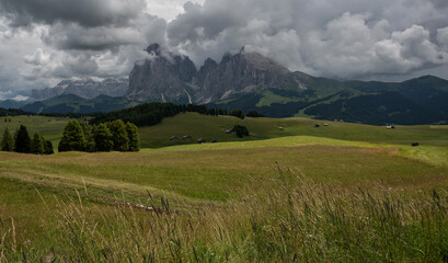 Fototapeta premium Dark and gloomy atmosphere at alpe di siusi in italian Dolomites.