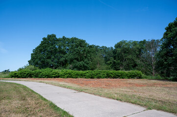 FLOWER,TREE,PLANTS,ANIMALS, LANDSCAPE